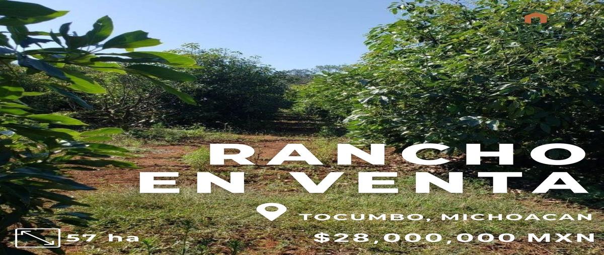 Foto de rancho en michoacan , santa inés de valladares, tocumbo, michoacán de ocampo, 0 foto 01 Foto de rancho en venta en michoacan , santa inés de valladares, tocumbo, michoacán de ocampo, 0 No. 01