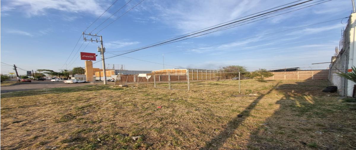 Foto de terreno habitacional en renta en  , microindustrial, sahuayo, michoacán de ocampo, 0 No. 03