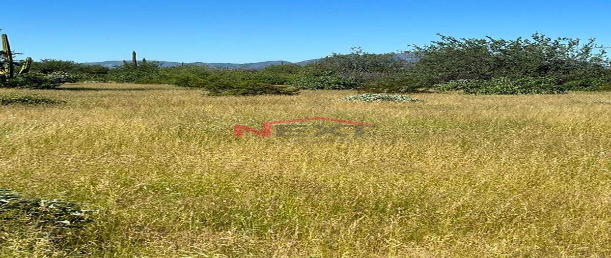 Foto de rancho en miguel alemán (la doce) centro 0, miguel alemán (la doce) centro, hermosillo, sonora, 0 foto 01 Foto de rancho en venta en miguel alemán (la doce) centro 0, miguel alemán (la doce) centro, hermosillo, sonora, 0 No. 01