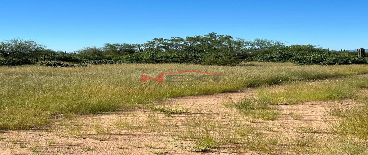 Foto de rancho en miguel alemán (la doce) centro 0, miguel alemán (la doce) centro, hermosillo, sonora, 0 foto 04 Foto de rancho en venta en miguel alemán (la doce) centro 0, miguel alemán (la doce) centro, hermosillo, sonora, 0 No. 04