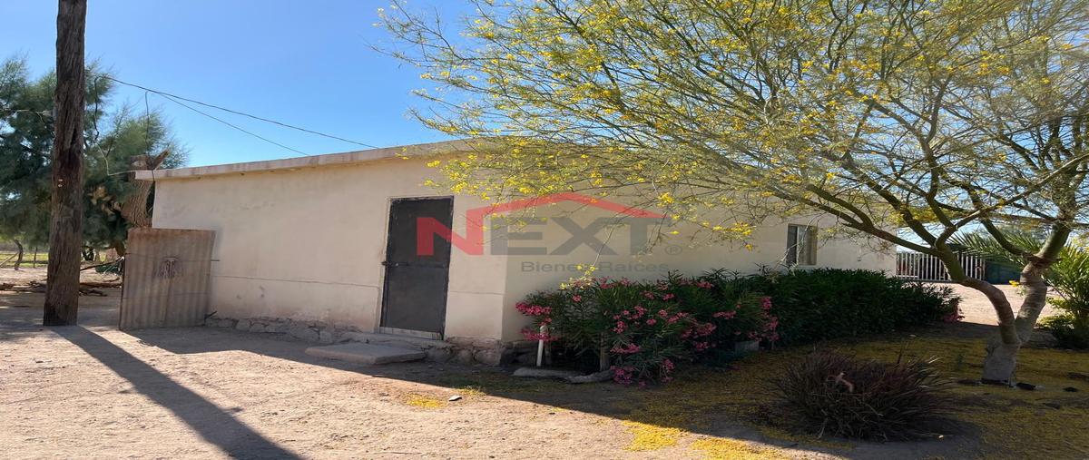 Foto de rancho en venta en miguel alemán (la doce) centro 0, miguel alemán (la doce) centro, hermosillo, sonora, 0 No. 03