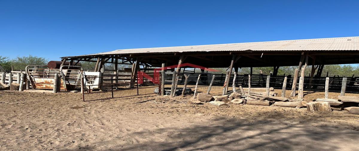 Foto de rancho en venta en miguel alemán (la doce) centro 0, miguel alemán (la doce) centro, hermosillo, sonora, 0 No. 04
