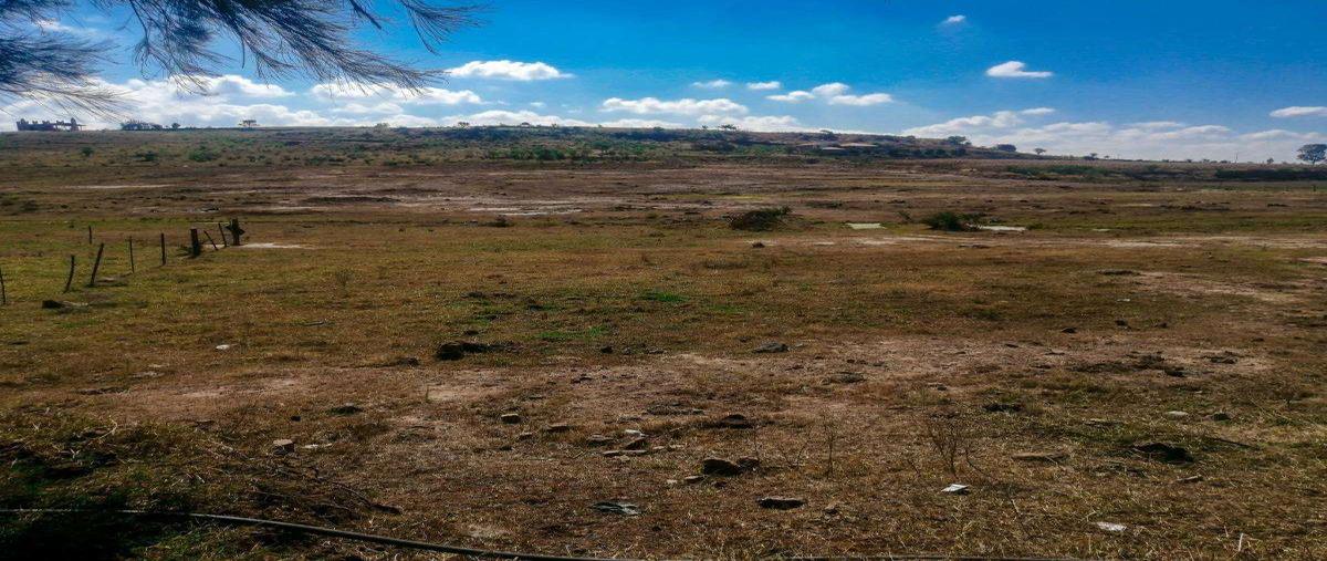 Foto de terreno habitacional en venta en miguel el blanco , acatic, acatic, jalisco, 0 No. 03