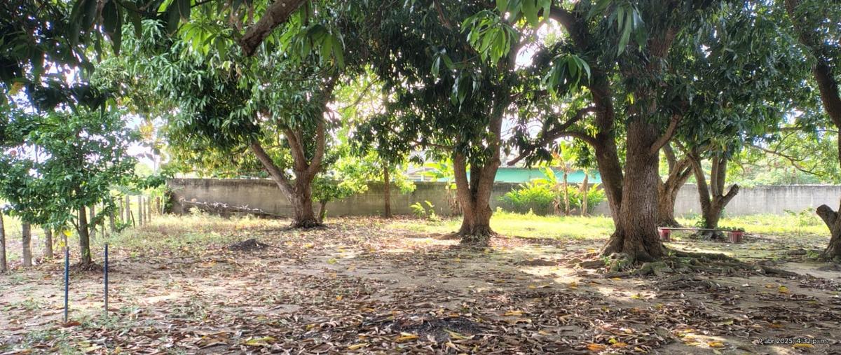 Foto de terreno habitacional en venta en  , miguel hidalgo 2a sección, centro, tabasco, 0 No. 05