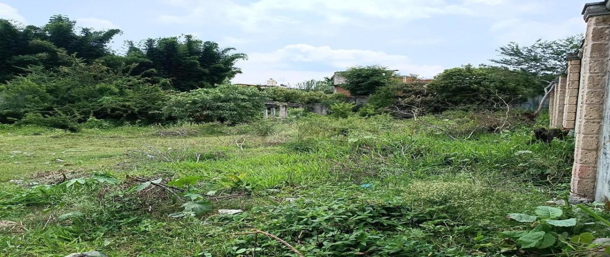 Foto de terreno habitacional en venta en miguel hidalgo 38, ampliación vicente guerrero, yautepec, morelos, 26456728 No. 03