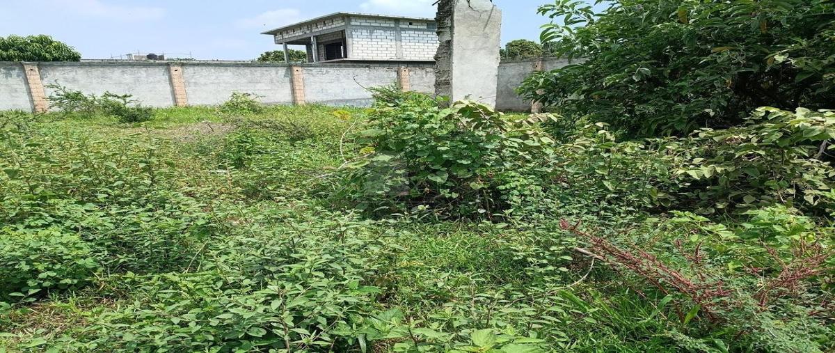 Foto de terreno habitacional en venta en miguel hidalgo 38, centro vacacional oaxtepec, yautepec, morelos, 0 No. 04