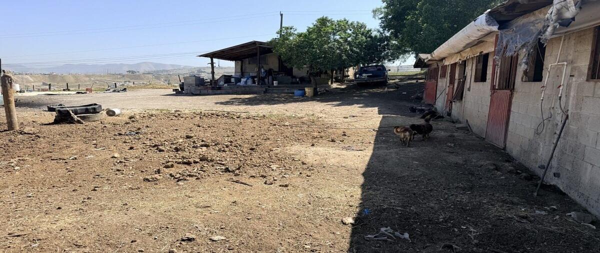 Foto de terreno comercial en venta en miguel hidalgo , cañón del sainz, tijuana, baja california, 0 No. 04