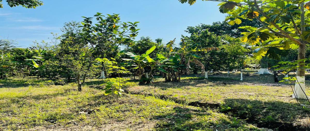 Foto de rancho en , miguel hidalgo, centla, tabasco, 0 foto 03 Foto de rancho en venta en , miguel hidalgo, centla, tabasco, 0 No. 03