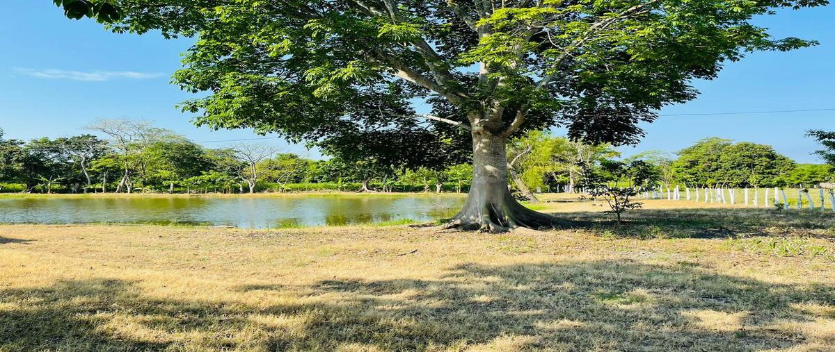 Foto de rancho en , miguel hidalgo, centla, tabasco, 0 foto 05 Foto de rancho en venta en , miguel hidalgo, centla, tabasco, 0 No. 05