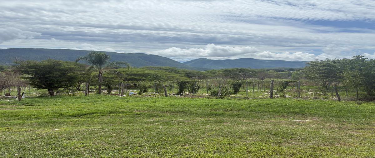 Foto de rancho en miguel hidalgo , ciudad bonampak, ocozocoautla de espinosa, chiapas, 0 foto 01 Foto de rancho en venta en miguel hidalgo , ciudad bonampak, ocozocoautla de espinosa, chiapas, 0 No. 01