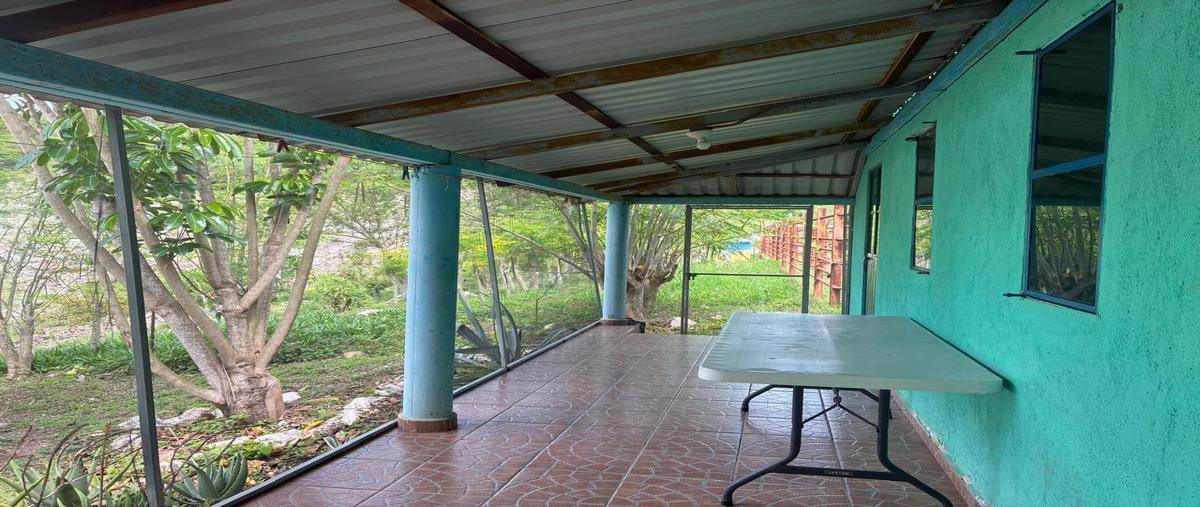 Foto de rancho en miguel hidalgo , ciudad bonampak, ocozocoautla de espinosa, chiapas, 0 foto 03 Foto de rancho en venta en miguel hidalgo , ciudad bonampak, ocozocoautla de espinosa, chiapas, 0 No. 03