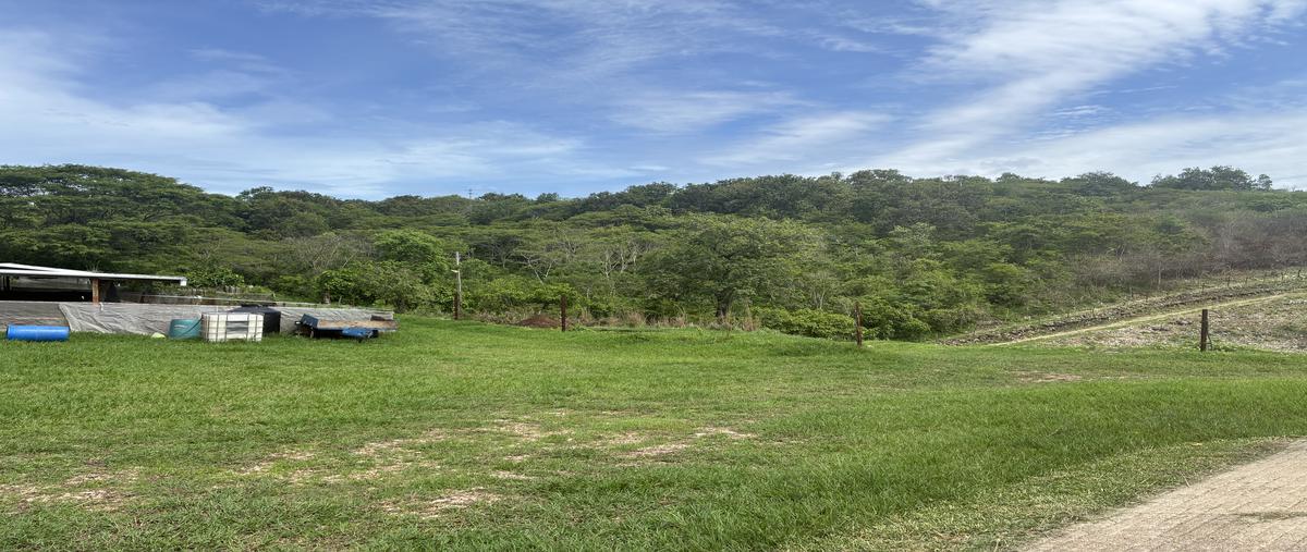 Foto de rancho en miguel hidalgo , ciudad bonampak, ocozocoautla de espinosa, chiapas, 0 foto 05 Foto de rancho en venta en miguel hidalgo , ciudad bonampak, ocozocoautla de espinosa, chiapas, 0 No. 05