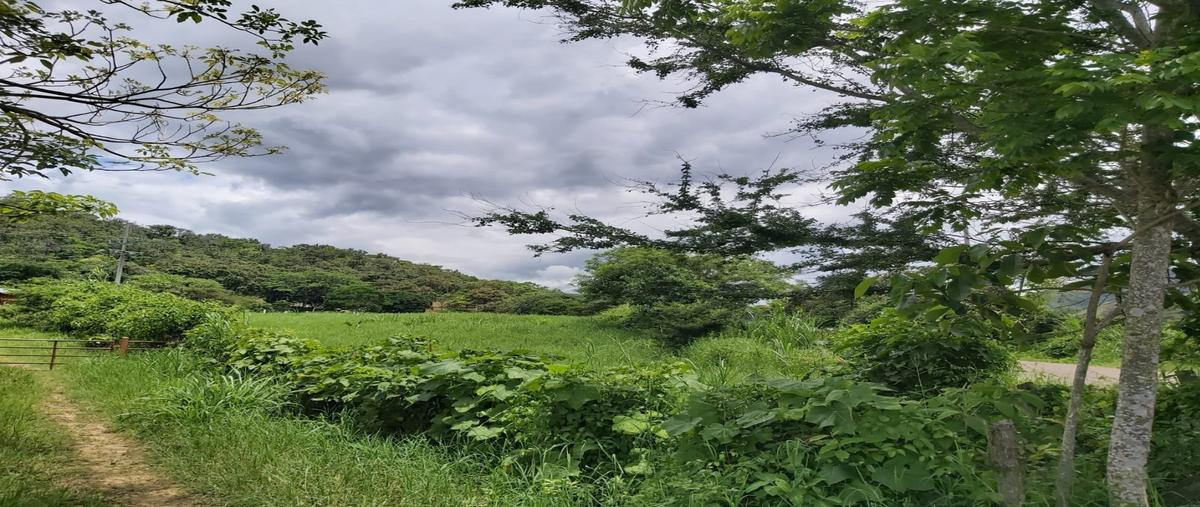 Foto de rancho en , miguel hidalgo (concepción), villaflores, chiapas, 25127585 foto 03 Foto de rancho en venta en , miguel hidalgo (concepción), villaflores, chiapas, 25127585 No. 03