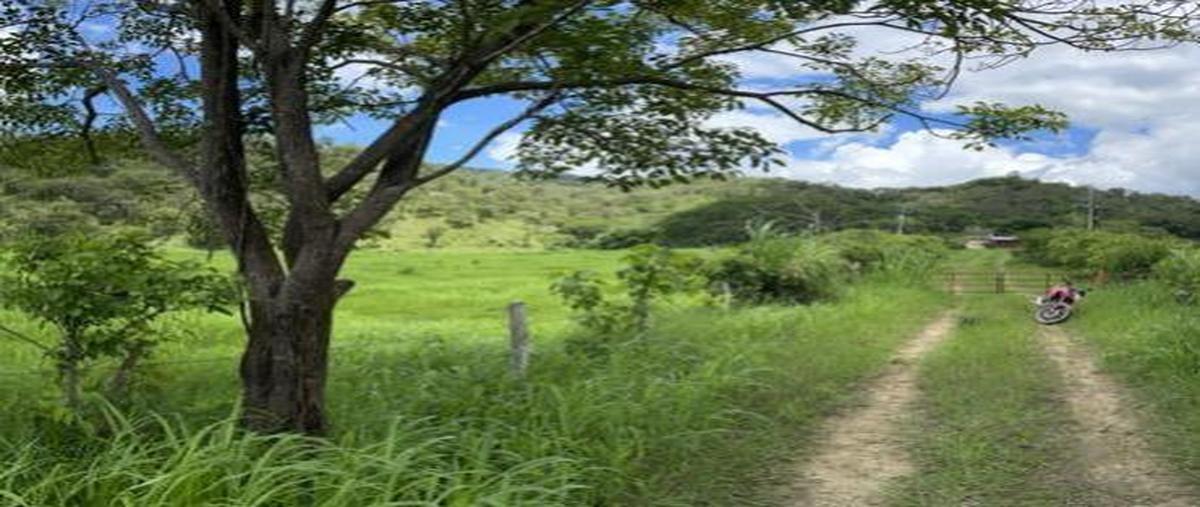 Foto de rancho en , miguel hidalgo (concepción), villaflores, chiapas, 25127585 foto 04 Foto de rancho en venta en , miguel hidalgo (concepción), villaflores, chiapas, 25127585 No. 04