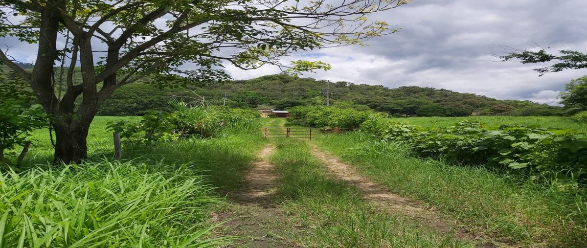 Foto de rancho en , miguel hidalgo (concepción), villaflores, chiapas, 25127585 foto 05 Foto de rancho en venta en , miguel hidalgo (concepción), villaflores, chiapas, 25127585 No. 05