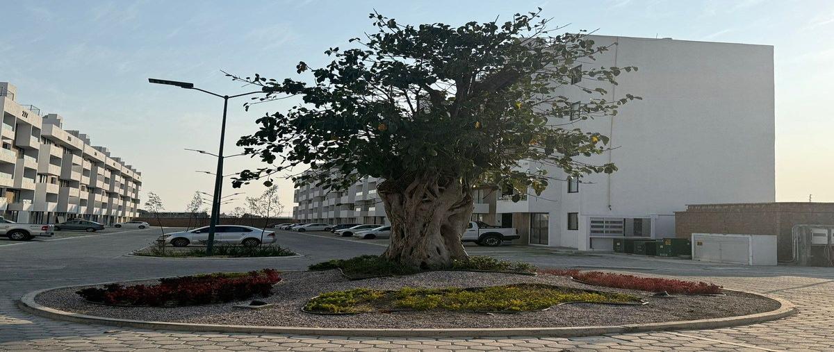 Foto de departamento en renta en miguel hidalgo , cuautlancingo, cuautlancingo, puebla, 0 No. 05