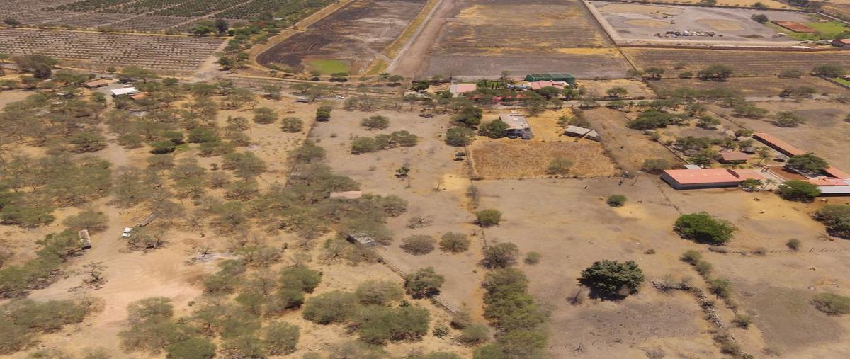 Foto de terreno habitacional en venta en miguel hidalgo , ixtlahuacan de los membrillos, ixtlahuacán de los membrillos, jalisco, 20363673 No. 03