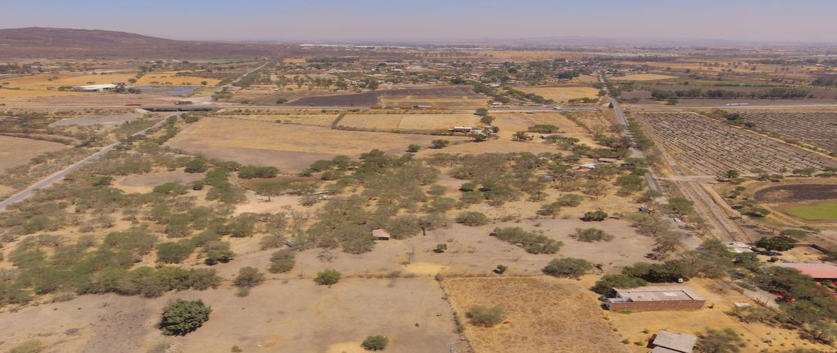 Foto de terreno habitacional en venta en miguel hidalgo , ixtlahuacan de los membrillos, ixtlahuacán de los membrillos, jalisco, 20363673 No. 05