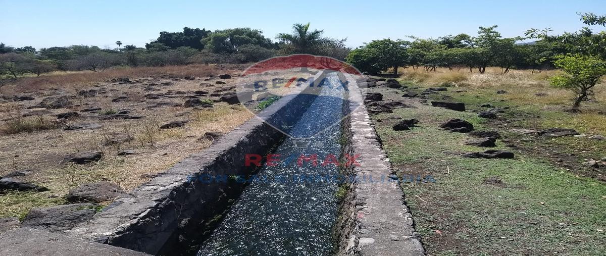 Foto de terreno habitacional en venta en miguel hidalgo , miguel hidalgo, temixco, morelos, 27733606 No. 04