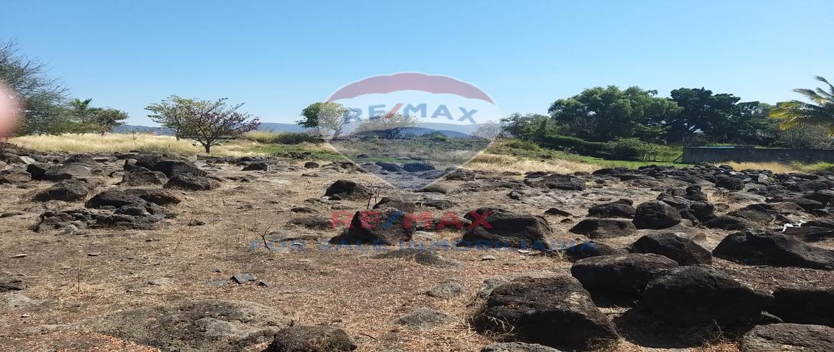 Foto de terreno habitacional en venta en miguel hidalgo , miguel hidalgo, temixco, morelos, 27733606 No. 05