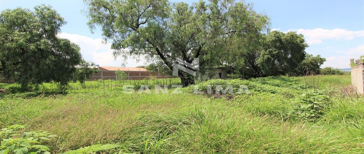 Foto de terreno habitacional en venta en miguel hidalgo , rancho seco, celaya, guanajuato, 20352740 No. 03