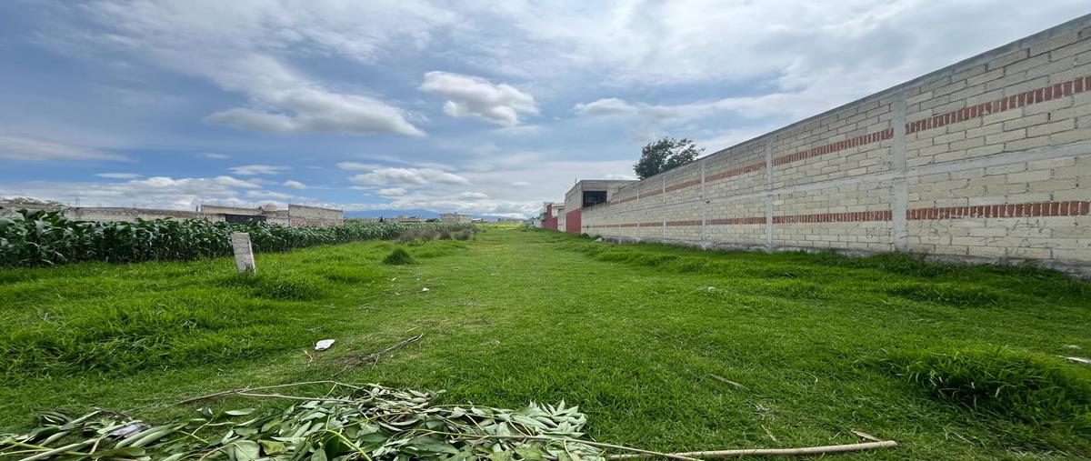 Foto de terreno habitacional en miguel hidalgo , san miguel totocuitlapilco, metepec, méxico, 0 foto 02 Foto de terreno habitacional en venta en miguel hidalgo , san miguel totocuitlapilco, metepec, méxico, 0 No. 02