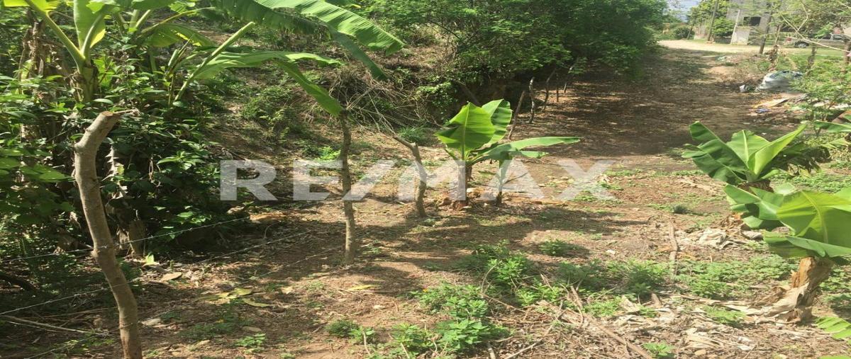 Foto de terreno habitacional en venta en miguel hidalgo , san rafael, pueblo viejo, veracruz de ignacio de la llave, 0 No. 02