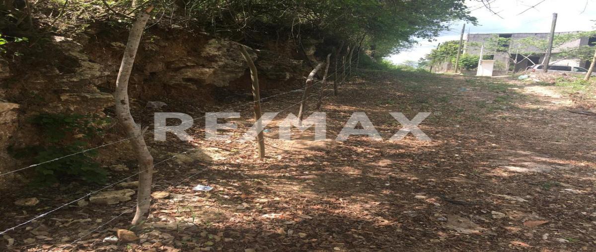 Foto de terreno habitacional en venta en miguel hidalgo , san rafael, pueblo viejo, veracruz de ignacio de la llave, 0 No. 03