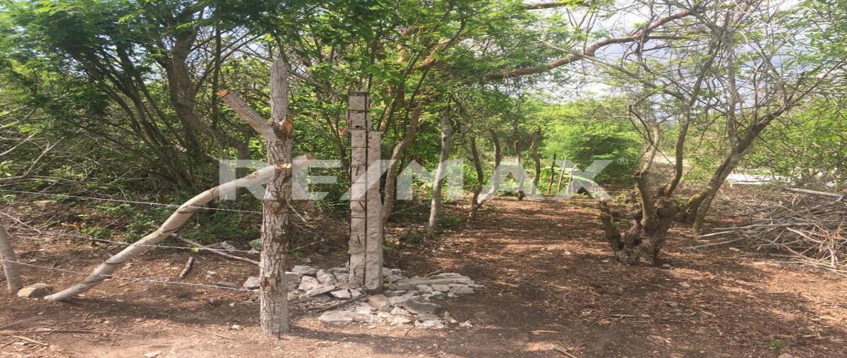 Foto de terreno habitacional en venta en miguel hidalgo , san rafael, pueblo viejo, veracruz de ignacio de la llave, 0 No. 04