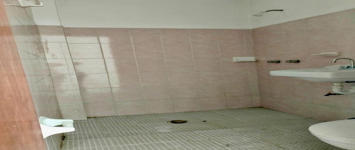 Foto de local en renta en miguel hidalgo , santa lucia, san cristóbal de las casas, chiapas, 0 No. 04