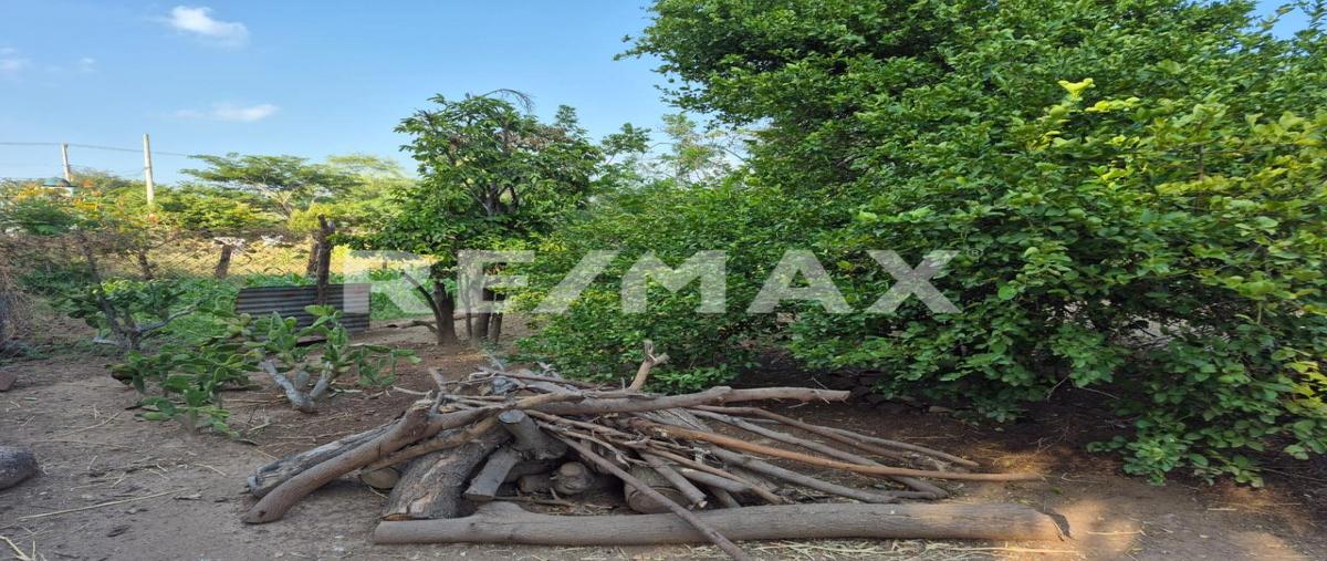 Foto de terreno habitacional en venta en miguel hidalgo , segunda sección, el espinal, oaxaca, 0 No. 05