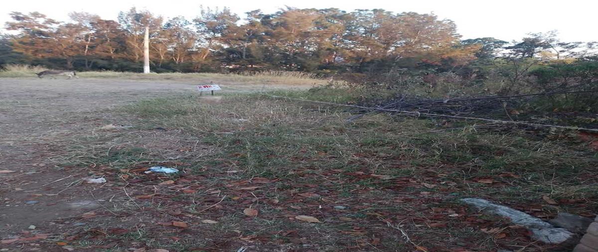 Foto de terreno habitacional en venta en miguel hidalgo , tapalpa, tapalpa, jalisco, 0 No. 05