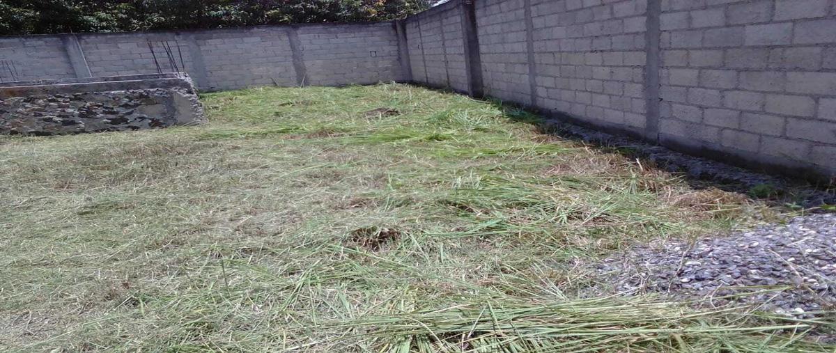 Foto de terreno habitacional en venta en  , miguel hidalgo, temixco, morelos, 25962814 No. 01