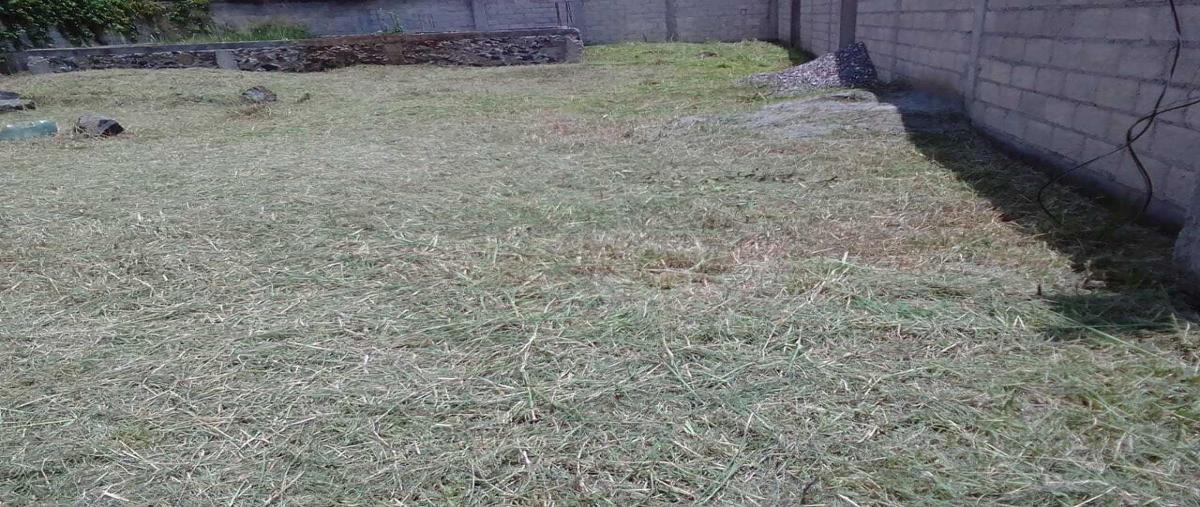 Foto de terreno habitacional en venta en  , miguel hidalgo, temixco, morelos, 25962814 No. 02