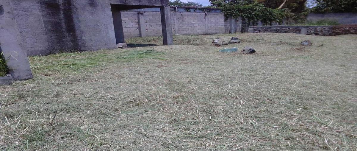 Foto de terreno habitacional en venta en  , miguel hidalgo, temixco, morelos, 25962814 No. 05