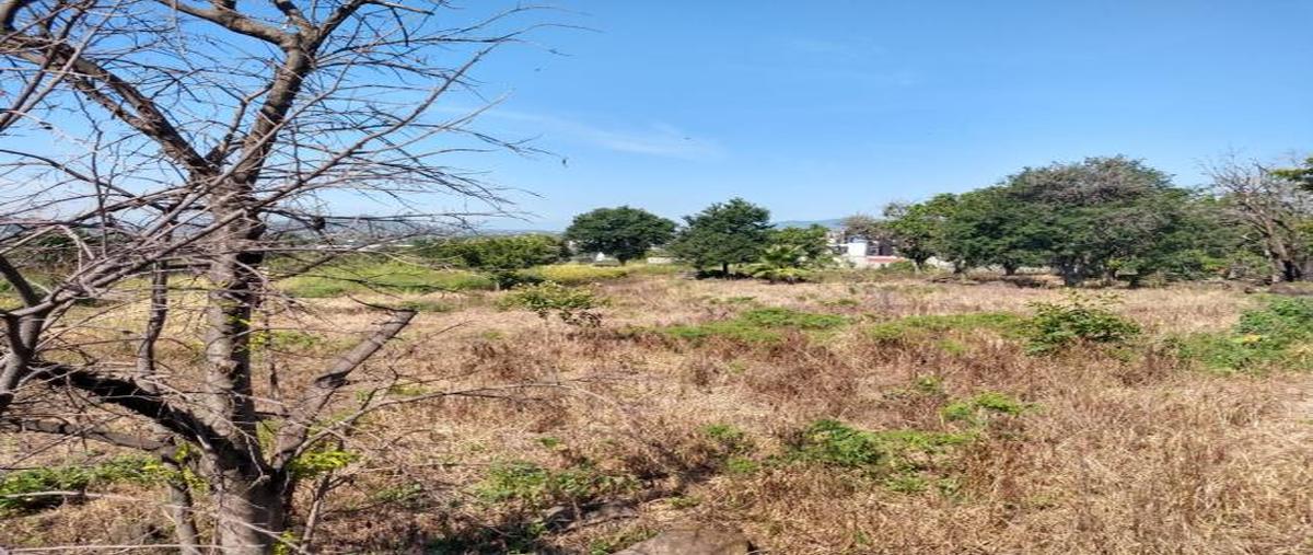 Foto de terreno habitacional en venta en  , miguel hidalgo, temixco, morelos, 30647728 No. 05