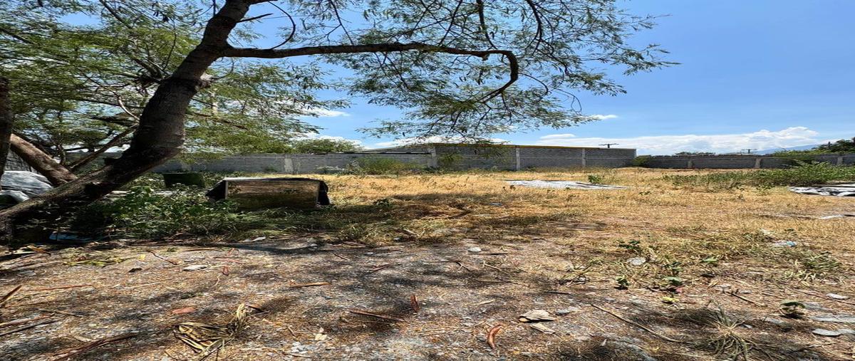 Foto de terreno habitacional en venta en miguel hidalgo y costilla , san nicolás de los garza centro, san nicolás de los garza, nuevo león, 30218436 No. 05