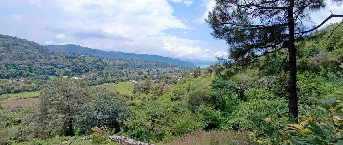 Foto de terreno habitacional en venta en mihualtepec , san francisco mihualtepec, donato guerra, méxico, 28692328 No. 04