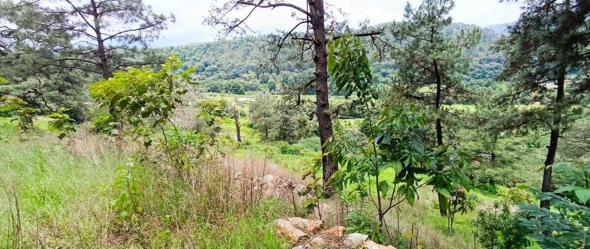 Foto de terreno habitacional en venta en mihualtepec , san francisco mihualtepec, donato guerra, méxico, 28692328 No. 05