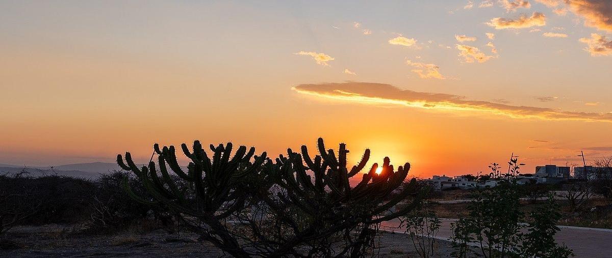 Foto de terreno habitacional en venta en  , milenio iii fase a, querétaro, querétaro, 31082372 No. 04