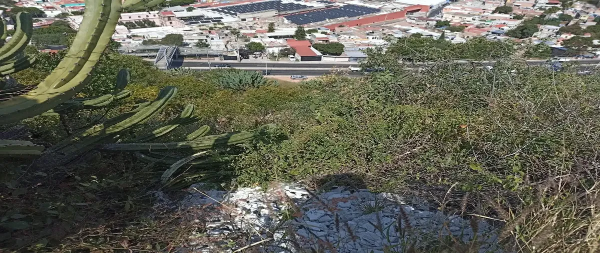 Foto de terreno habitacional en milenio ., milenio iii fase a, querétaro, querétaro, 24435376 foto 05 Foto de terreno habitacional en venta en milenio ., milenio iii fase a, querétaro, querétaro, 24435376 No. 05