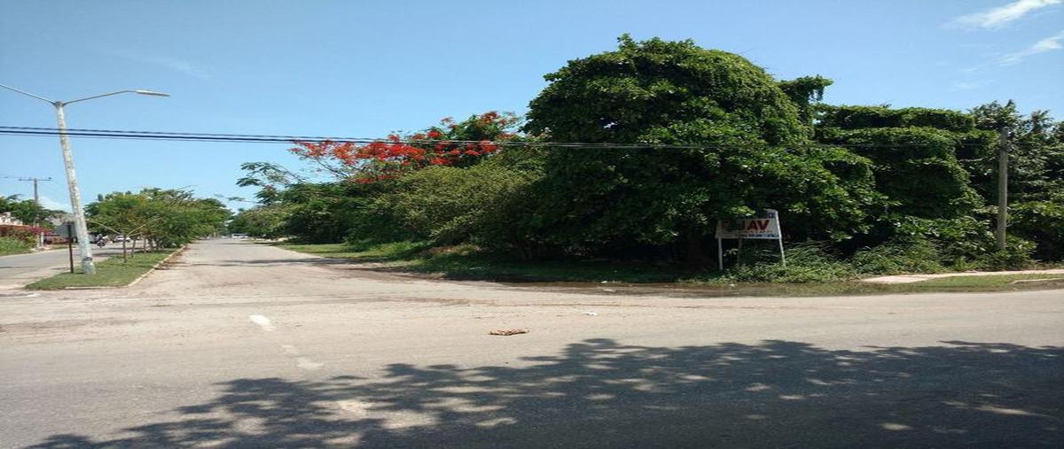 Foto de terreno habitacional en venta en  , milenio, othón p. blanco, quintana roo, 30299128 No. 05