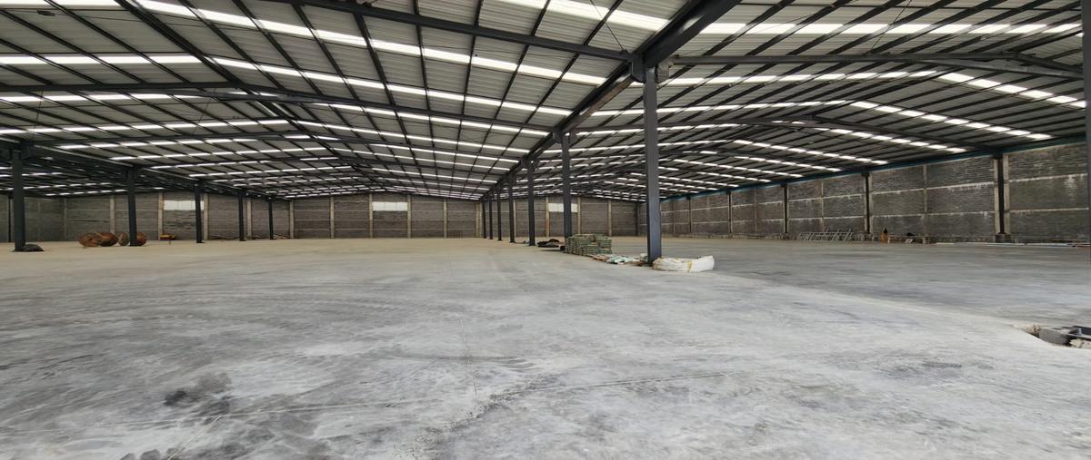 Foto de nave industrial en renta en  , milimex santa rosa, apodaca, nuevo león, 0 No. 03