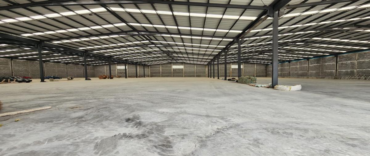 Foto de nave industrial en renta en  , milimex santa rosa, apodaca, nuevo león, 0 No. 04