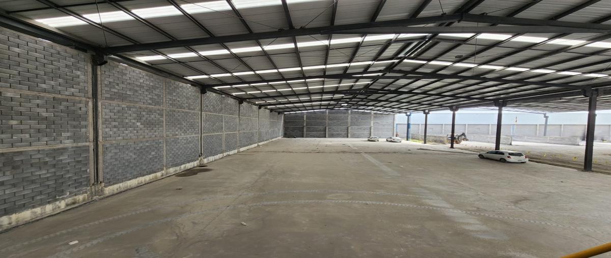 Foto de nave industrial en renta en  , milimex santa rosa, apodaca, nuevo león, 0 No. 05