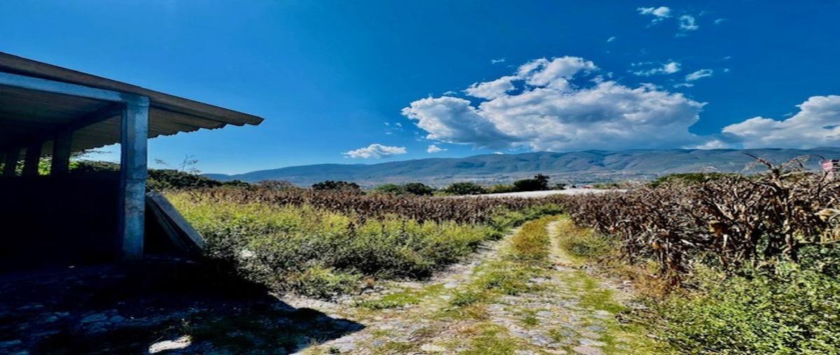 Foto de terreno habitacional en venta en  , milpizaco, chilpancingo de los bravo, guerrero, 0 No. 03