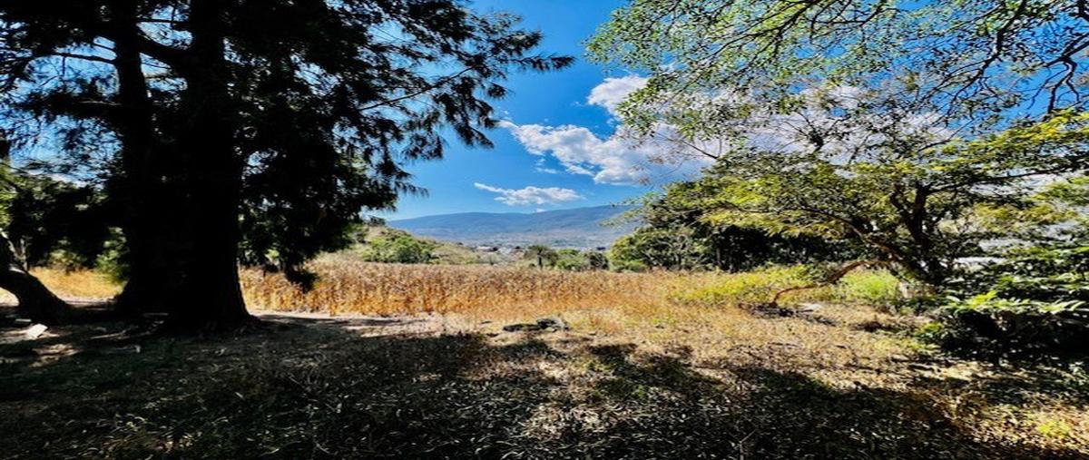 Foto de terreno habitacional en venta en  , milpizaco, chilpancingo de los bravo, guerrero, 0 No. 05