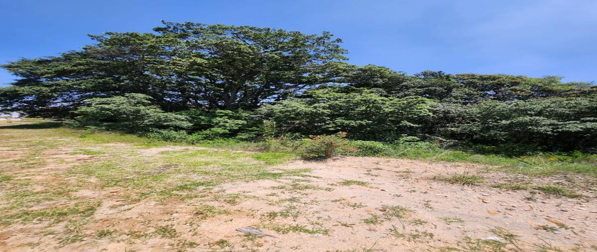 Foto de terreno habitacional en venta en mimbres , rancho san juan, atizapán de zaragoza, méxico, 27873745 No. 05