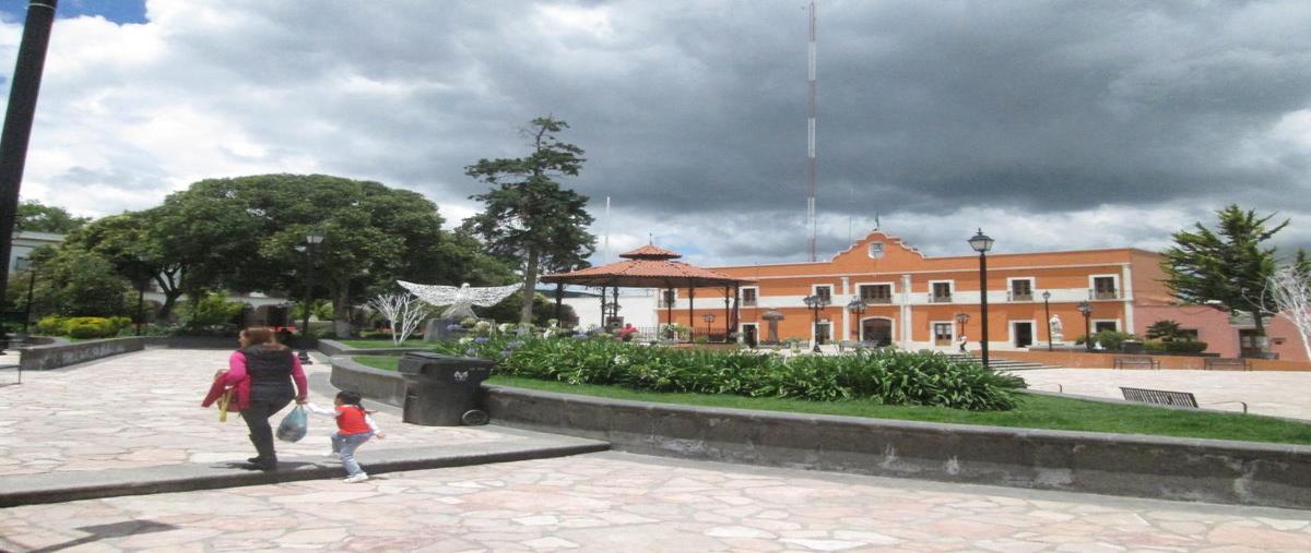 Foto de terreno habitacional en venta en mina 12, las palmitas, zempoala, hidalgo, 0 No. 04