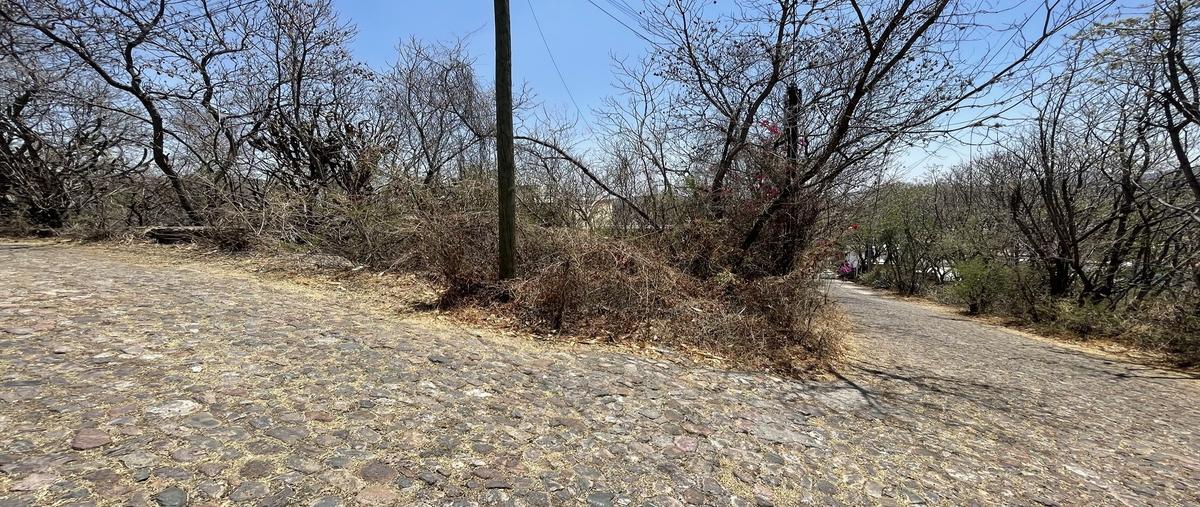 Foto de terreno habitacional en venta en mineral de mellado , marfil centro, guanajuato, guanajuato, 0 No. 03